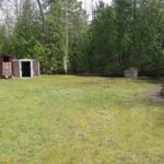 Backyard One