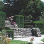 Ampitheatre