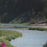 Saugeen River from Ampitheatre