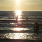 Sunset and Swimming